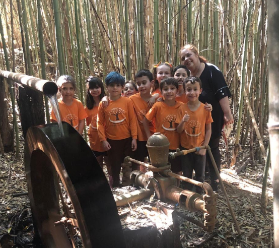 Currículo por Épocas